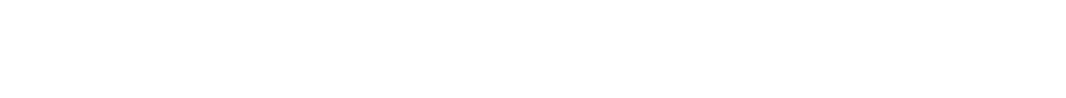 各企業様が必要とするポテンシャルとグローバル人材（技人国）の 可能性を探り、新たな雇用促進を目指します。